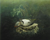 Flicker
