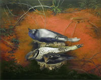 Bluejay Flicker and Guardian