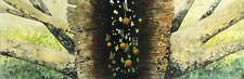 Tree Inside